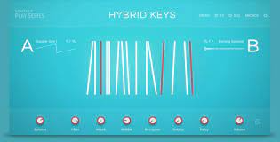 Native Instruments Play Series.          Hybrid Keys